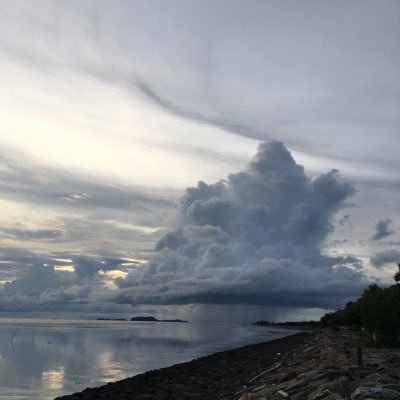 jgfyjv124's profile picture. Perlis| 21 Dermarian|Kmpian|Mechy