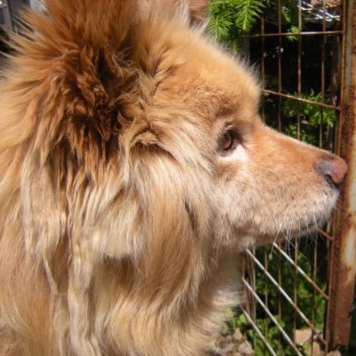 DOAXVVの動画投稿や画像投稿しています。最近はStellarBladeのイヴも好きで撮影した画像投稿をしています。ゲーム好きでRPGなどよくやります。#Patty #パティ がイチオシVenusです。