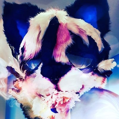 안단테さんのプロフィール画像