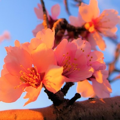 ryoryon5's profile picture. 気になったことをぽつぽつゆっくりとリポストします🐾無言フォローごめんなさい🙇料理🍳お酒🍹旅行🛫ゲーム🎮エトセトラエトセトラ🍀