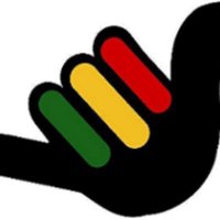 The Zimbabwe Mail (@thezimbabwemail) 's Twitter Profile