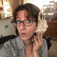 Dani Buffa, MSc. 🐚 #SaveSheffieldArchaeology(@archaedan) 's Twitter Profile Photo