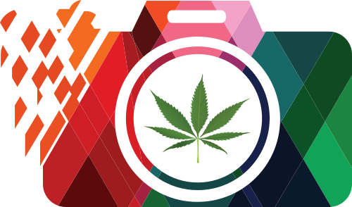 We are a social media platform specifically for the Cannabis Community!