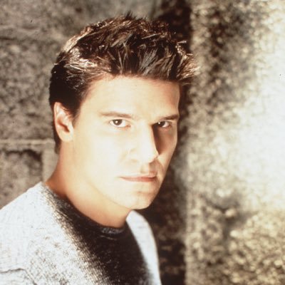 “But we would be hollow. Empty rooms shuttered and dank. Without passion, we’d truly be dead.” #BtVS #Angel #RP #AU #Parody