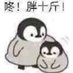 小小小易碎 (@little_fragile) Twitter profile photo 小小小易碎 (@little_fragile) Twitter profile photo