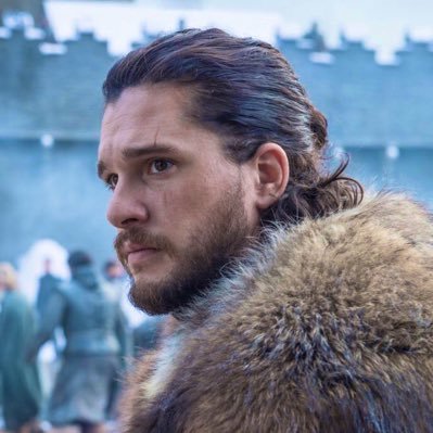 Forever, a Stark—Excelsior and Valar Morghulis! 🌙