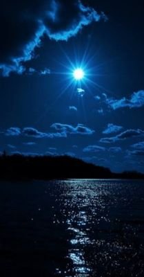 Dp259324157's profile picture. 