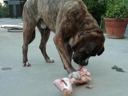 zuraileen's profile picture. Wait, it would have to be your bull. Disclaimer: these are my opinions.