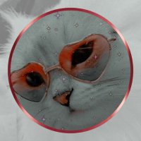 bleugh (@yunniehoo) 's Twitter Profile