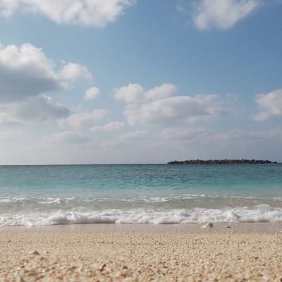 閲覧専用です。成人済。赤安/安赤どっちも好き。無言フォロー失礼します。好きで見させて頂いてるだけなのでブロ解だけはご勘弁を…!!!