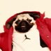 Phil Romero (@electricshow) Twitter profile photo Phil Romero (@electricshow) Twitter profile photo