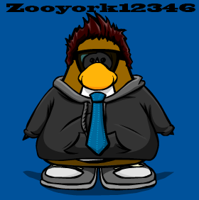Heyo Im Zooyork12346 I Go On CP daily and yeah My Favorite Servers are Abomidable Sleet and Christmas i Follow Back