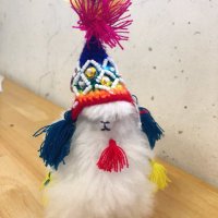 専修大学中南米研究同好会(フォルクローレ同好会) (@s_chuunanbei) 's Twitter Profile Photo 専修大学中南米研究同好会(フォルクローレ同好会) (@s_chuunanbei) 's Twitter Profile Photo
