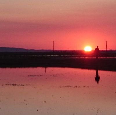 CiCOnclTmBldWDn's profile picture. 東京下町生まれの私は秋田の自然が気に入って移住してきました。「なんにもないところへよく来たね」と会う人によく言われますが私にとって秋田は「なんでもある」ところです。好奇心のままにあっちへこっちへ、この秋田の楽しさが写真で伝わればいいと思っています。