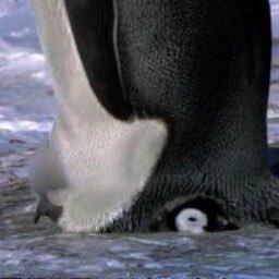 vps8JZnuE2nPLul's profile picture. 