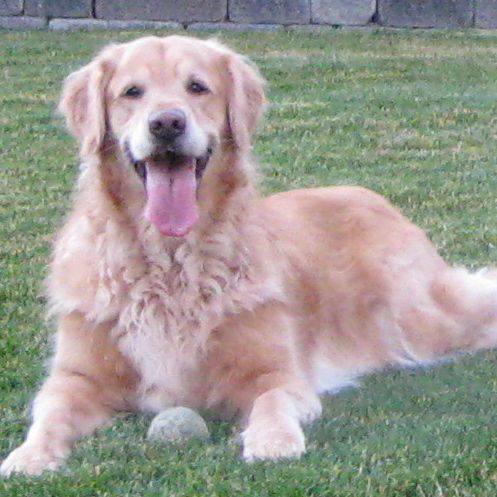 gramski4's profile picture. widow mom grandmother cook foodie traveler