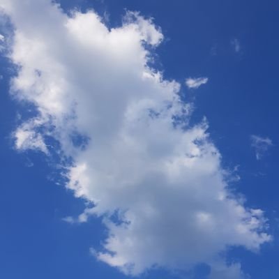 gn7313's profile picture. 