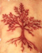 itsdilovely's profile picture. She/her, mom, wife, teacher, dancer, Quaker, treaty partner, blogger, plant-eater.