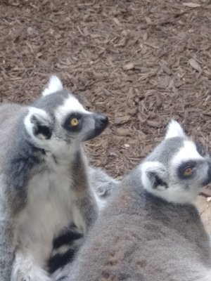 Michael86517585's profile picture. 