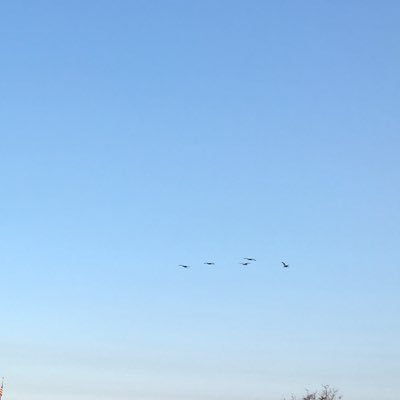 achachlouei's profile picture. Interested in data science and #AI innovation for efficiency and #sustainability. PhD in Planning & Decision Analysis.