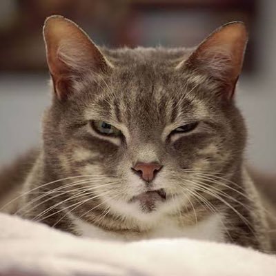 NayMin57032595's profile picture. 