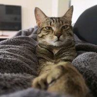 Lycrosa (@fhorlucke) Twitter profile photo