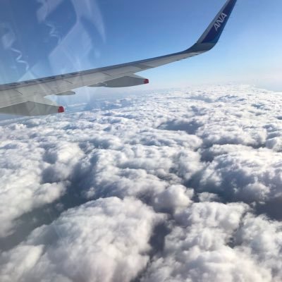 ねんしゅうさんぜんまんなのだ。 裏垢しかフォローしない頭悪い系アカウント