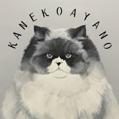 kanekoayanoinfo Profile Picture