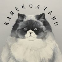 カネコ商店(カネコアヤノ/kanekoayano STAFF) (@kanekoayanoinfo) 's Twitter Profile
