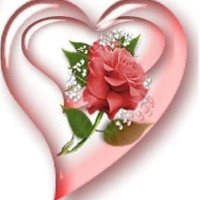 Aydin (@aybek54547159) 's Twitter Profile