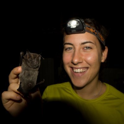 PhD on Bat conservation and wetlands #bats #batacoustics #batconservation #wetlands #climatechange - BiBio, Natural Science Museum of Granollers