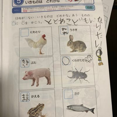 稗田礼二郎 Utautaq Twitter 稗田礼二郎 Utautaq Twitter