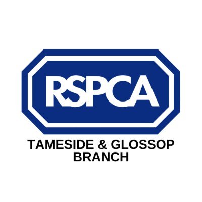 We are a small local self funded RSPCA branch run entirely by unpaid volunteers. Please follow us for updates about our animals in need.