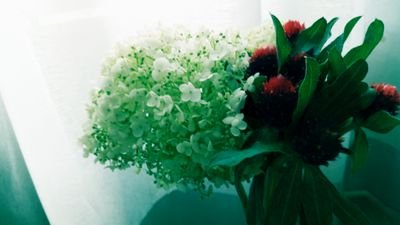 saruru172's profile picture. ダンス、バレエ、アート、スピ、占