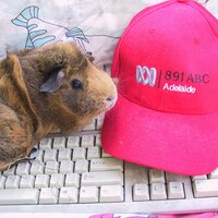 Coco Tipper (@coco27coco) 's Twitter Profile