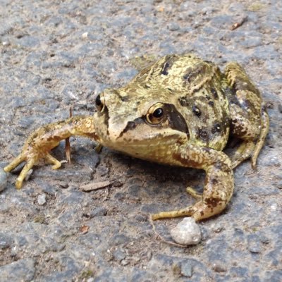 MissN_LHS's profile picture. 