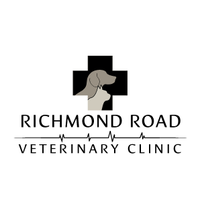 Richmond Road Vet(@RichmondRoadVet) 's Twitter Profile Photo