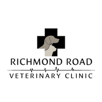 Richmond Road Vet (@richmondroadvet) 's Twitter Profile Photo Richmond Road Vet (@richmondroadvet) 's Twitter Profile Photo
