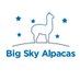 Big Sky Alpacas (@bigskyalpacas) Twitter profile photo