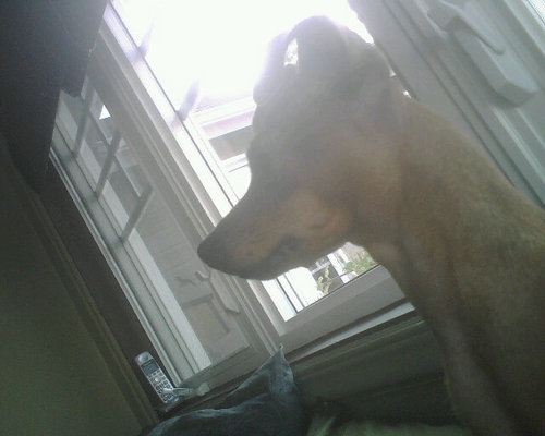 ulrich_latchimy's profile picture. If you need a canadian sextoy tester , just send me a message