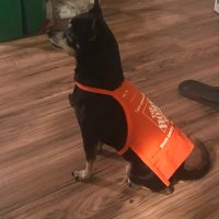 Specialty Home Depot (@depotspecialty) Twitter profile photo