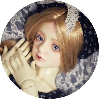 tiduru_doll Profile Picture