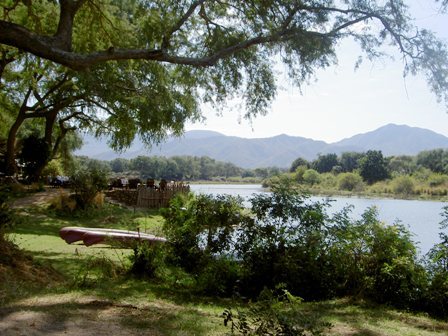 Set in a stunning location, this camp combines the best of everything, from first-class service and luxurious accommodation to exceptional game viewing