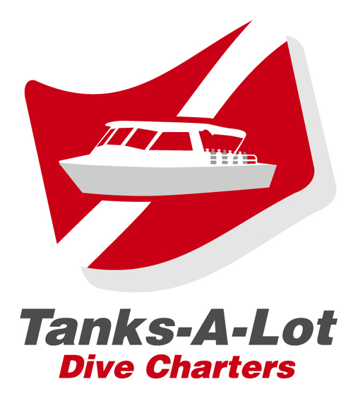 Scuba Diving Charter Boat in the Clearwater/St. Pete/Tampa Area