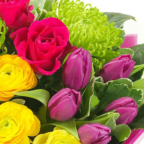 All aspects of floristry in Southampton. Weddings, corporate, funerals, special occasions. Fresh & silk flowers. Whatever your floral needs please call.