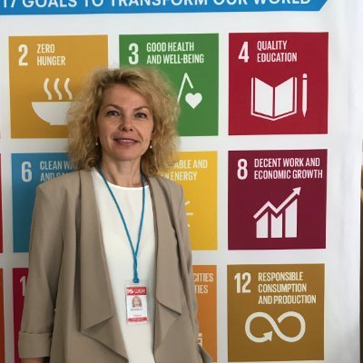tsyvkunova's profile picture. Associate Professor at @UMephi | ESP Department Acting Head @iirmephi | PhD in Education| @ClubDiplomacy