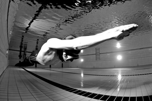 xnspr's profile picture. Luftanhalter, Felsenfesthalter, Flieger, Wiesofrager, Bewohner der interkantonalen Freihandelszone Schweizerische Eidgenossenschaft auf einem Klasse M Planeten