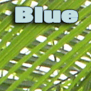 BlueGreenWeb's profile picture. Soup is Good Food