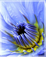 MargraveLLP's profile picture. Solicitors with Personal Touch & Expertise regarding issues connected with Elderly Clients & their Families. Our website provides details