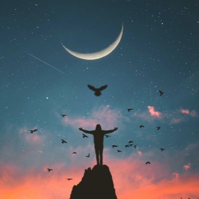 SaraALmofadda's profile picture. 